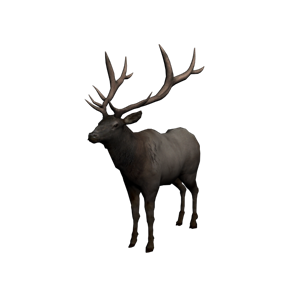 Moose, elk PNG-66265
